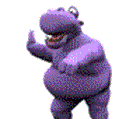 Hippo